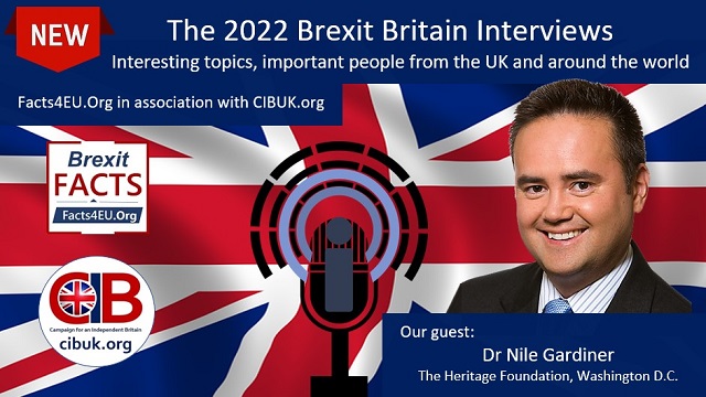 EXCLUSIVE: "Yes, I do think the EU is a basket case" - leading US commentator